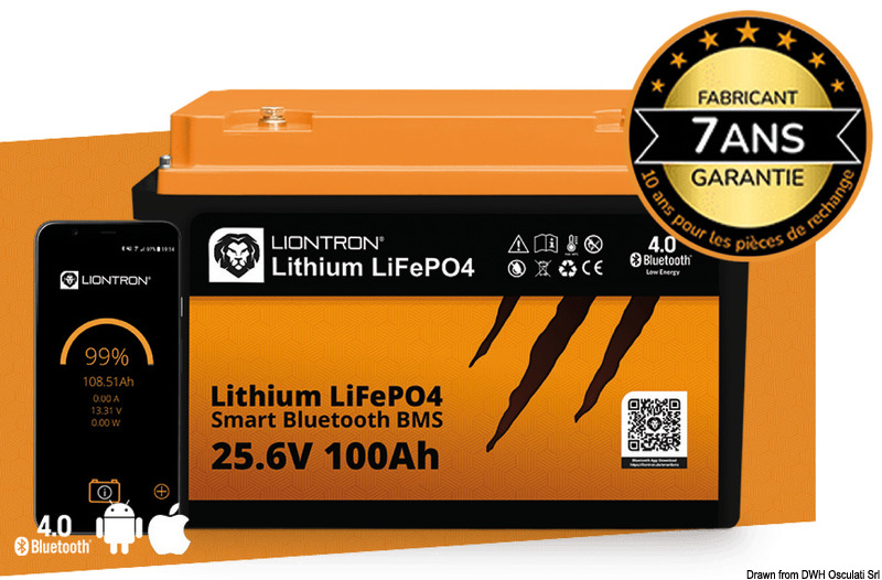 Купить LIONTRON lithium battery Ah200 w/BMS, 12.460.05 7ft.ru в интернет магазине Семь Футов