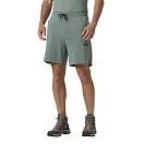Купить Helly hansen 34500_485-2XL Шорты HP Tech Серый  Grey Cactus 2XL 7ft.ru в интернет магазине Семь Футов
