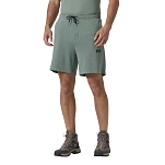 Helly hansen 34500_485-2XL Шорты HP Tech Серый  Grey Cactus 2XL