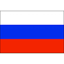 Купить Флаг России гостевой Adria Bandiere BR054 500х750мм из тканого полиэстера 7ft.ru в интернет магазине Семь Футов