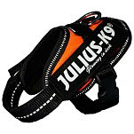 Julius k-9 16IDC-FOR-2 IDC® Power Обуздать Оранжевый UV Orange XL-2