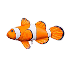 Купить Gaby GP-175549 То Ocellaris Подушка среднего размера с рыбой-клоуном Оранжевый Orange / White 7ft.ru в интернет магазине Семь Футов