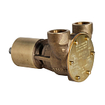 Jabsco 9990-41 Бронзовый насос, установленный на цилиндре, BG 040, резьбовые порты 19 мм (3/4