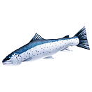 Купить Gaby GP-175266 The Sea Trout Giant Белая  Navy / White 7ft.ru в интернет магазине Семь Футов