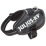 Julius k-9 16IDC-ANT-1 IDC® Power Обуздать Серый  Anthracite L-1