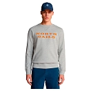 Купить North sails 691004-0926-2 Толстовка с капюшоном 691004 Graphic Серый Grey Melange S 7ft.ru в интернет магазине Семь Футов