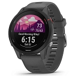 Garmin R-16531973-010-02641-10 Reloj Forerunner 255 Basic reacondicionado Серый Slate Grey