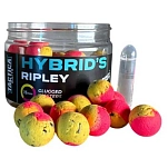 Tactica baits ri13-unit Hookbaits Hybrid´s Ripley 150ml 20x10x10 20 mm