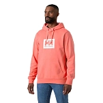 Helly hansen 54526-098-m Толстовка с капюшоном Box Nantucket Red 40x30x12