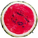 Купить Gaby GP-175938 Watermelon Cushion Зеленый 7ft.ru в интернет магазине Семь Футов