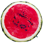 Gaby GP-175938 Watermelon Cushion Зеленый
