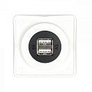 BERKER 926022509 Двойная розетка USB / полярная белизна / 2x 2,5 А