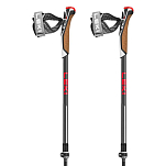 Leki 65326341-100/125 Instructor Lite Поляки Серебристый Black / Grey 100-125 cm