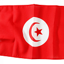 Флаг - Тунис / Высота: 500 мм