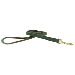 Kentucky 42519-74-120 Плетеный нейлон 15 mm Поводок Green 15 mm x 120 cm