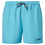 Oakley FOA404310-642-L Плавки Beach Volley 16´´ Голубой  Bright Blue L