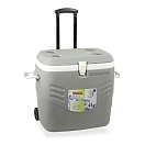 Купить Hidalgo productos 73666 Премиальный жесткий холодильник 41L Grey 50x50x40 7ft.ru в интернет магазине Семь Футов