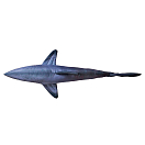 Купить Gaby GP-175761 Большая белая акула Гигантская подушка Голубой Dark Navy / White 7ft.ru в интернет магазине Семь Футов