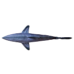 Gaby GP-175761 Большая белая акула Гигантская подушка Голубой Dark Navy / White