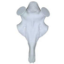 Купить Eurohunt 560764 Artificial Череп оленя Белая  White 60 mm  7ft.ru в интернет магазине Семь Футов