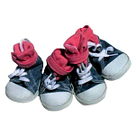 Freedog FD6000019 All Star Кроссовки Черный  Blue / Red L