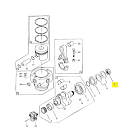 Купить Vetus VF20024 Орех 7ft.ru в интернет магазине Семь Футов