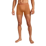 Icebreaker 0A571V0B0L трусы-боксёры Merino 125 Cool Lite Anatomica Dusty Clay L