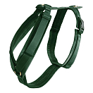 Купить Kentucky 42640-74-S Active Бархатный ремень  Pine Green 26-40 cm 7ft.ru в интернет магазине Семь Футов