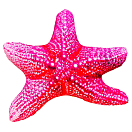 Купить Gaby GP-175655 Средняя подушка Морская звезда Розовый Pink / White 7ft.ru в интернет магазине Семь Футов