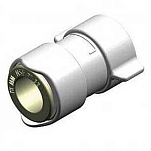 Whale 72025 BSP Женский Разъем  White 1/2´´