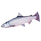 Купить Gaby GP-780064 The Chinook Salmon Medium Голубой  White / Blue 7ft.ru в интернет магазине Семь Футов