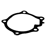 Fischer panda 0001519 Насос охлаждающей жидкости Z602-E3B-IMS-1 Прокладка Black