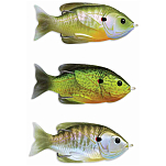 Live target SFH90T555 Sunfish Walking Мягкая приманка 90 mm 18g Золотистый Blue / Yellow Pumpkinseed