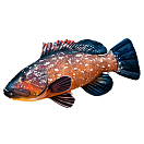 Купить Gaby GP-175457 Гигантская подушка темного морского окуня Оранжевый Brown / Dark Navy / White 7ft.ru в интернет магазине Семь Футов