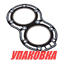 Прокладка под головку цилиндров Suzuki DT25-30, Recmar (упаковка из 5 шт.) 1114196344_RM_pkg_5
