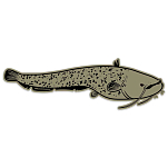 Hotspot design 011003599 Catfish Наклейки  Grey / Black 93 x 30 cm