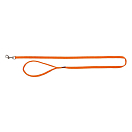 Купить Trixie 200218 New Premium Поводок Золотистый  Papaya 20 mm x 100 cm 7ft.ru в интернет магазине Семь Футов