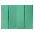 Купить Trespass UUACTVB20017-GNX-EACH Folda Foldable Mat Зеленый  Green X 7ft.ru в интернет магазине Семь Футов