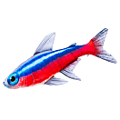 Купить Gaby GP-175969 То Neon Tetra Подушка Красный  Blue / Red / White 7ft.ru в интернет магазине Семь Футов