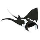 Купить Safari ltd S100096 Manta Ray Sea Life Фигура Черный  Black / White From 3 Years  7ft.ru в интернет магазине Семь Футов