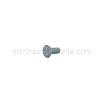 Johnson Pump 0.0144.003 Шестигранный винт, 1/4