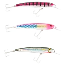 Купить Halco lp120d-hr01-00 Minnow Laser Pro 120 DD 20g 118 mm 22x6x3 7ft.ru в интернет магазине Семь Футов