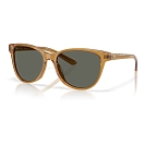 Купить Costa 06s2012-20120757 Поляризационные солнцезащитные очки Catherine Sun Ray 20x10x10 Gray 580G/CAT3 7ft.ru в интернет магазине Семь Футов