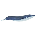 Safari ltd S223229 Blue Whale Фигура Голубой  Blue From 3 Years 