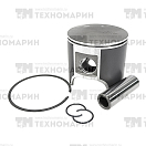 Купить Поршень BRP 800R P-TEK (T-Moly, номинал) SM-09243 SPI 7ft.ru в интернет магазине Семь Футов