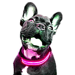 Freedog CC4020 LED Battery Воротник Голубой  Pink XS