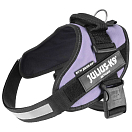 Купить Julius k-9 16IDC-PR-2 IDC® Power Обуздать Фиолетовый Purple XL-2 7ft.ru в интернет магазине Семь Футов