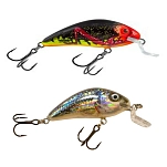 Salmo 84415-232 Crankbait Rattlin Hornet Shallow 5.5g 45 mm RTS 10x7x5