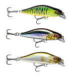 Daiwa 15216006 Prorex Flat Minnow SS 50 Mm 4.8g Многоцветный Live Perch 4.8 g 
