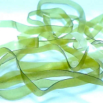Baetis TL089/VE Латексные Полоски Золотистый Olive